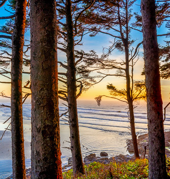 Cape Perpetua. Oregon | 