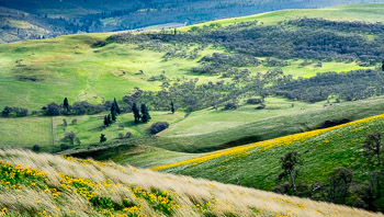 Seven Mile Hill, The Dalles, OR | 