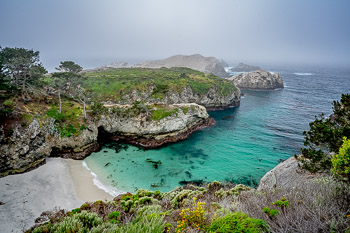 Point Lobos State Natural Reserve, CA | 