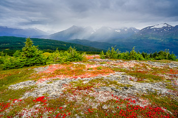 Chugach National Forest, Alaska | 