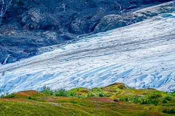 Kenai Fiords National Park, Alaska | 