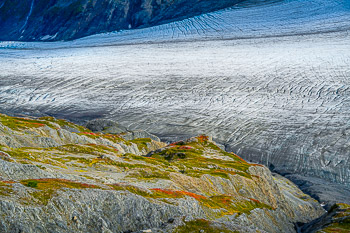 Kenai Fiords National Park, Alaska | 