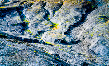 Kenai Fiords National Park, Alaska | A stark landscape revealed by a retreating Glacier.