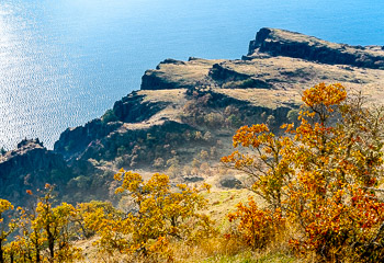 Oaks, Columbia River Gorge, Lyle, Washington | 