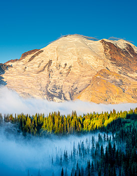 Mount Rainier, WA | 
