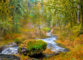 North Silver Creek, Silver Creek Falls State Park, OR | 