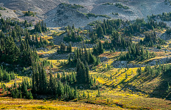 Goat Rocks Wilderness, WA | 