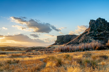 Lyle Cherry Orchard,, Columbia River Gorge, Washington | 