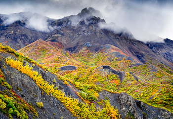 Igloo Mountain, Denali National Park, Alaska | 