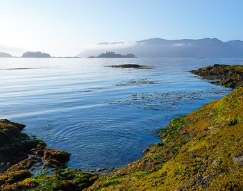 Koya Point, Haida Gwaii, BC | A still ocean at low tide.