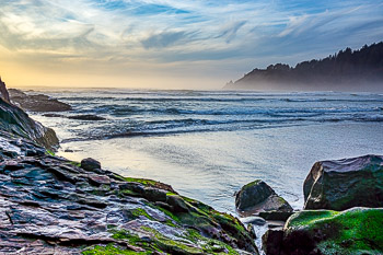 Oswald West State Park, Oregon | 