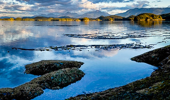 Broughton Archipelago, BC, | Broughton Archipelago, BC,