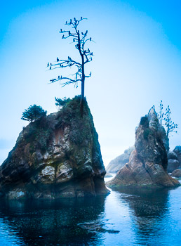 Coastal