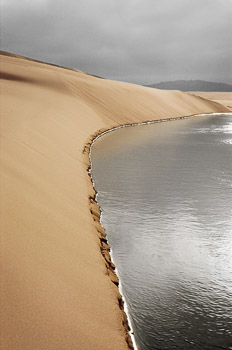 Ten Mile Creek,  Oregon Dunes, OR | Sunlight burns through the costal fog, highlighting a serene creek and sand dunes.
