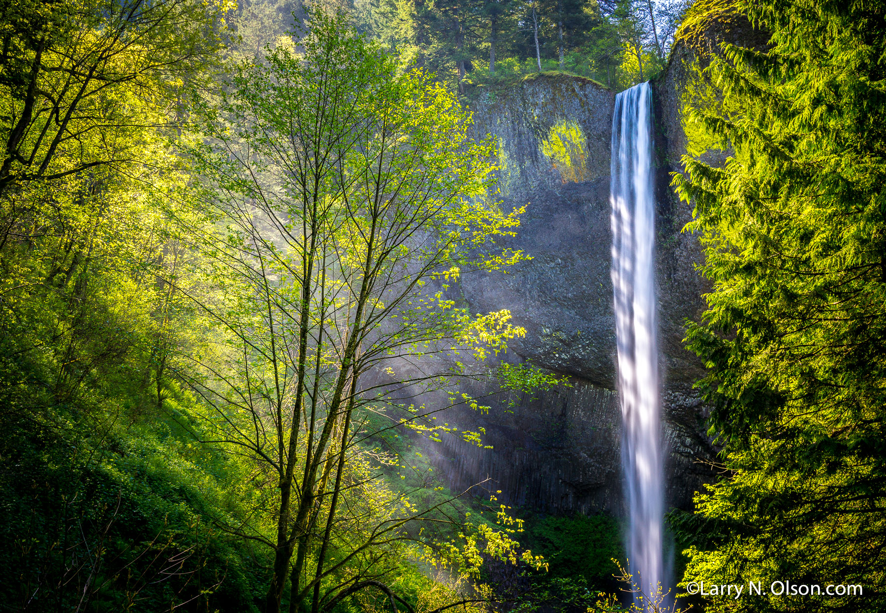 Latourell Falls, Columbia Gorge, OR - Larry N. Olson Photography