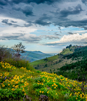 McCall Point, Tom McCall Nature Preserve, Rowena, Oregon | 