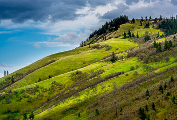 Rowena, Columbia River Gorge, Oregon | 