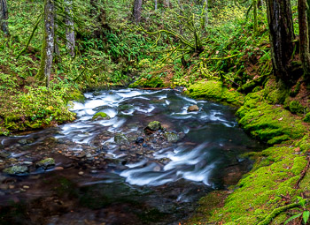Duncan Creek, Columbia River Gorge, Washington | 