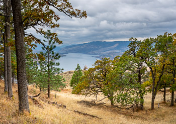 Columbia River Gorge