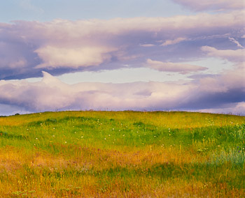 Rowena Plateau, Columbia River Gorge, OR | Pre-dawn light softens the grassy meadows of mid summer and shows motion from the breeze.