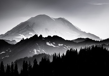 Mount Rainier National Park, WA | 