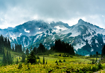 Tatoosh Range, Mount Rainier National Park, Washington | 