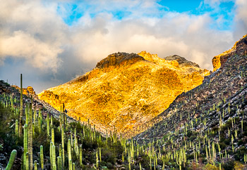 Bear Canyon,  Sabino Canyon, Tuscon, AZ | 