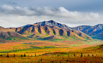 Denali Wilderness, Denali National Park, Alaska | 