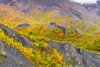 Igloo Mountain, Denali National Park, Alaska | 