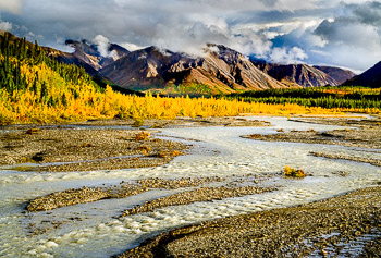 Teklanika River, Denali Wilderness, Denali National Park, Alaska | 