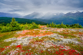 Chugach National Forest, Alaska | 