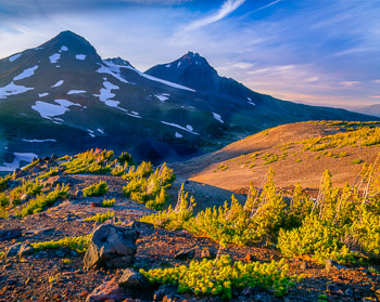 Three Sisters Wilderness #2 , OR | Middle and North sister,White Bark Pine in the late summer.