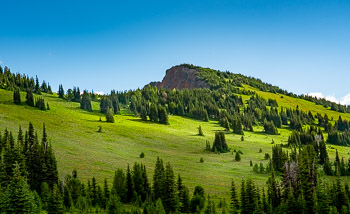 Sourdough Ridge, Mount Rainier National Park, WA | Morning sun lights up the meadows on Sourdough Ridge, Mount Rainier National Park, WA