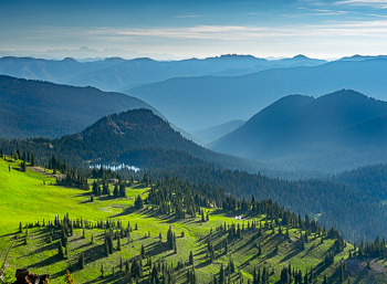 Mount Rainier National Park, WA | 