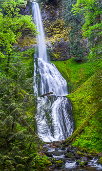 Pup Creek Falls, Clackamas River Drainage, OR | 
