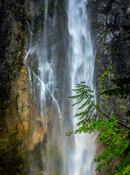 Mount Rainier National Park, WA | 