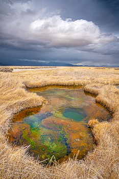 Hot Springs,  Alvord Desert, OR | 