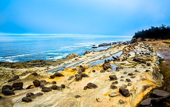 Shore Acres State Park, Oregon Coast | 