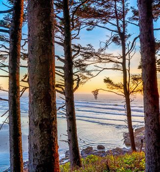 Cape Perpetua. Oregon | 