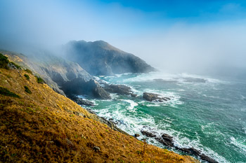 Port Orford Heads State Park, Oregon | 