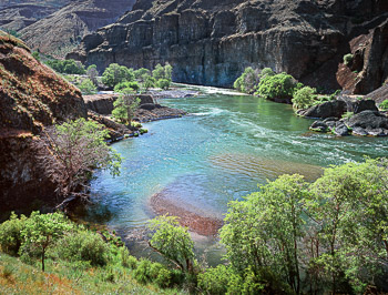 Deschutes River, OR, | A large eddy forms a gravel bar between rapids. Basalt cliffs and Hackberry trees line the banks.
