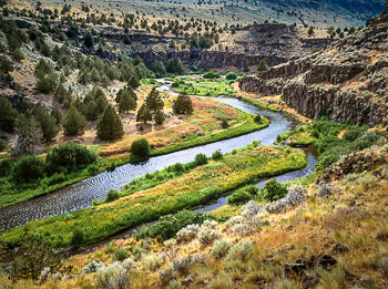 Donner Und Blitzen River, Steens Mountain, OR | A desert river flows through a carved out canyon of basalt with scattered Junipers, Sage, and Bunchgrass.