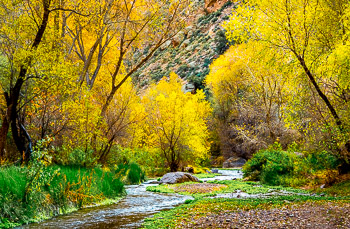 Aravaipa Canyon, AZ | 