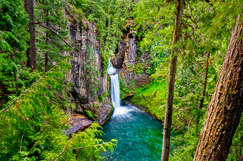 Toketee, Falls, North Umpqua River, Oregon | A lush and verdent forest overhangs these falls.