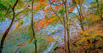 Autum Forest, Kyoto, Japan | Low water in the creek bed creates an abstract image.