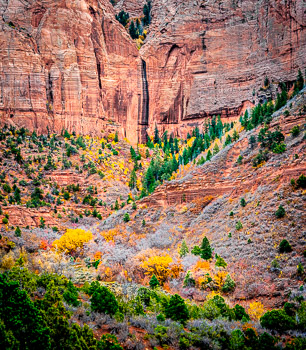 Autum, Kolob Canyon, Zion National Park, UT | 