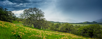 Panoramic Photographs
