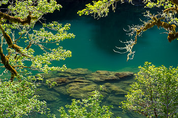 Oaks, North Umpqua River, OR | 