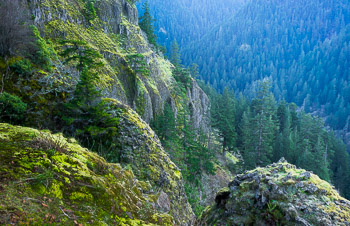 Basalt Cliffs, Eagle Creek, OR | Moss covers balatlt cliffs high above Eagle Creek in the Columbia River Gorge.