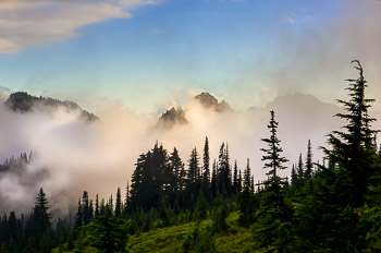 Tatoosh Range #2, Mount Rainier National Park, WA | 